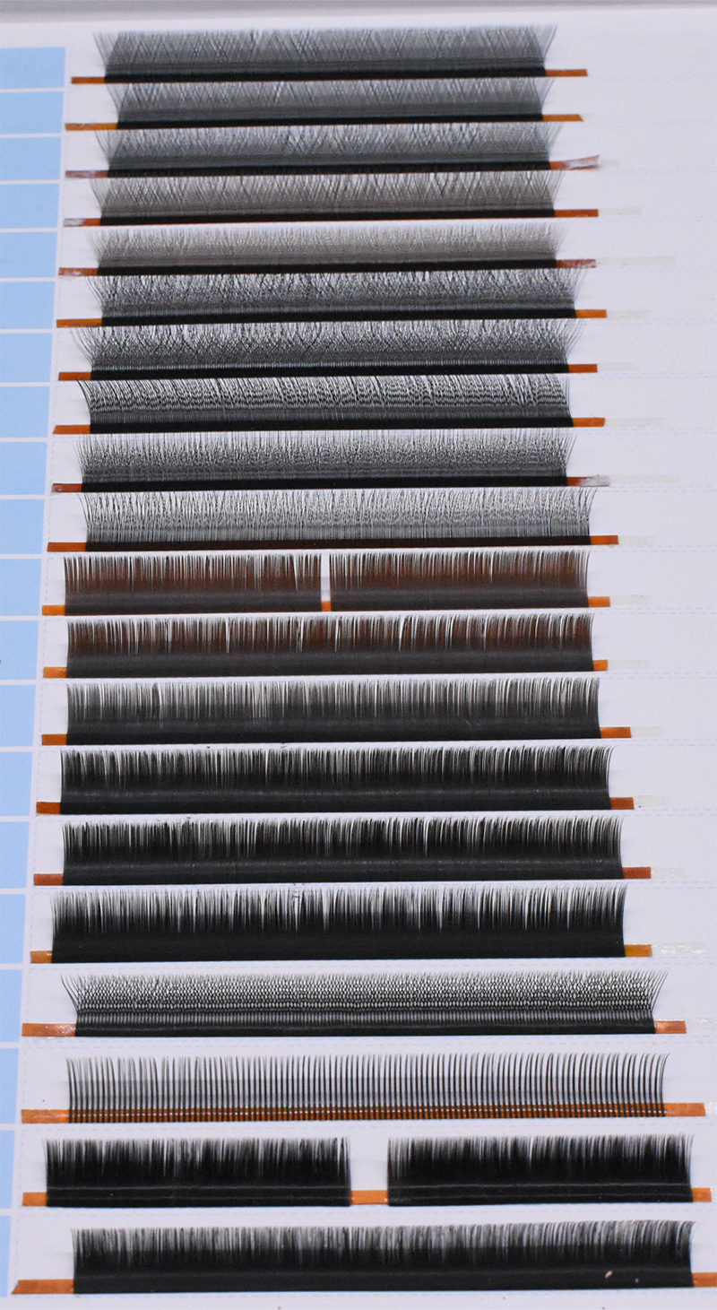 DSC_0450_看图王.jpg